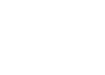 whisk logo e